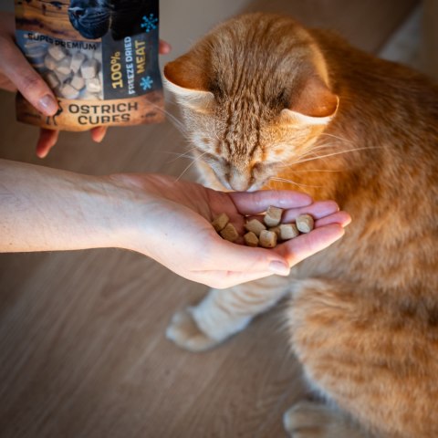 KidCat Super Premium - 100% liofilizowane mięso strusia 25g