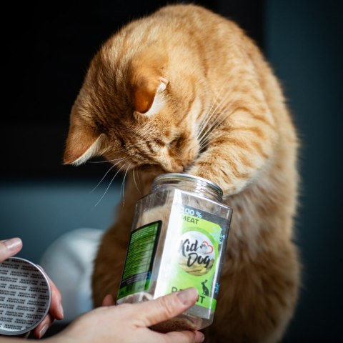 KidDog super premium - czyste liofilizowane mięso królika 70g