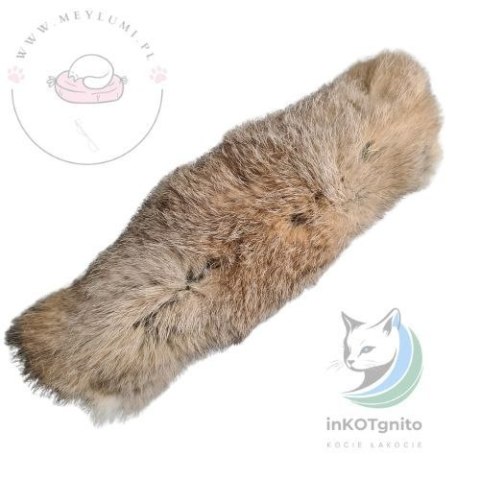 Meylumi króliś standard - kopacz z królika (waleriana) BRĄZ/RUDY/ŁACIATY