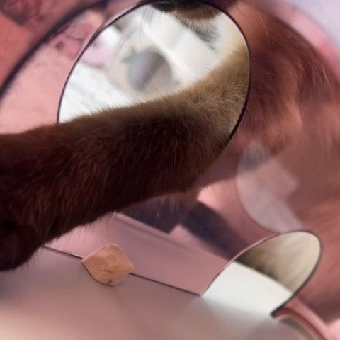 Trixie cat activity cheese - zabawka logiczna