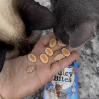 Inaba Juicy Bites wilgotne przysmaki o smaku kurczaka i tuńczyka