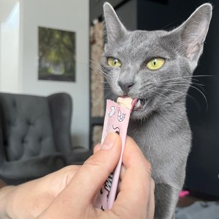 MR. BANDIT CREAMY MOUSSE przysmak dla kota z kurczakiem i krewetkami