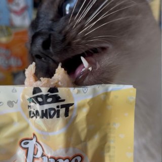 Mr. Bandit pure fillets filet dla kota grillowany kurczak