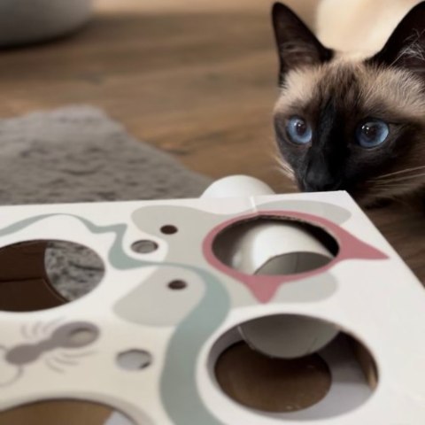 Trixie Cat Activity Paws'n'Treats Box zabawka logiczna