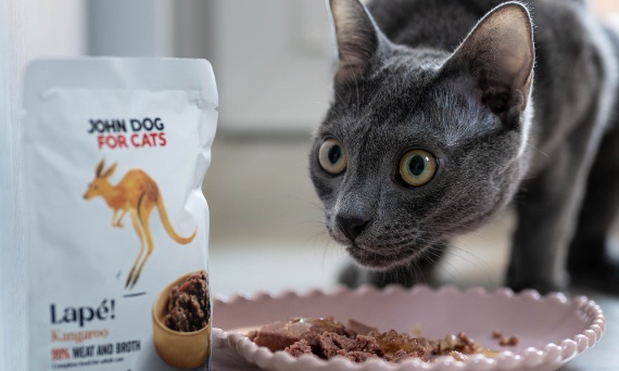 KARMA MONOPROTEINOWA - ratunek dla wrażliwego brzuszka