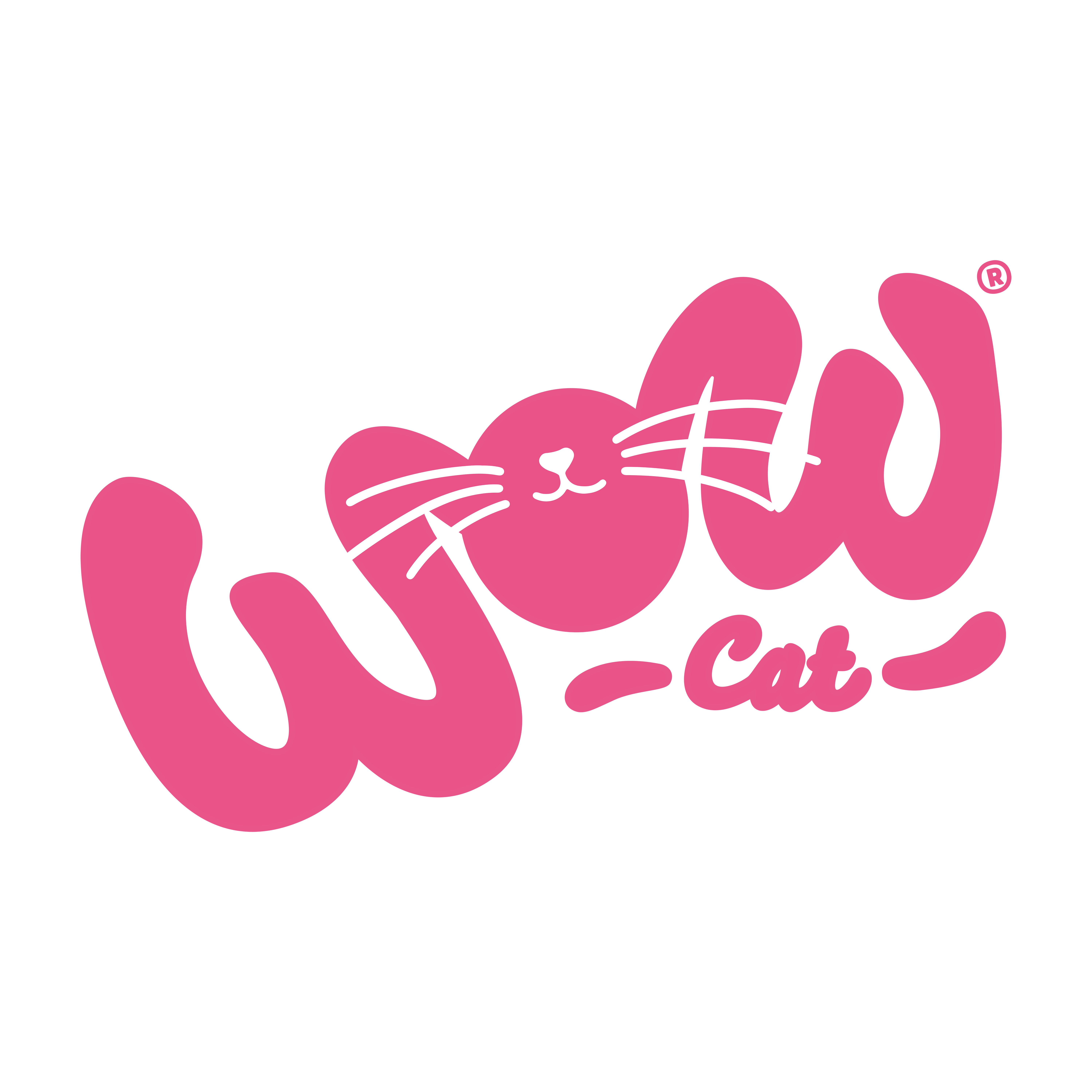 WOW Cat
